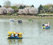 11일 흐리고 곳곳 봄비···낮 최고 17∼22도