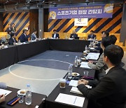 문화체육관광부, “스포츠산업을 새로운 성장 동력으로 키우겠다”