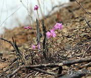 재난 담당 공무원 절반 "수집된 피해 주민 정보, 유출 위험있어"