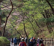 투표일, 관악산 찾은 시민들