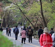 봄나들이 즐기는 시민들