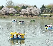 봄기운 가득한 춘천 공지천