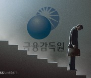 금감원 회계전문위원 직급 하락, 어떻게 생각하십니까?