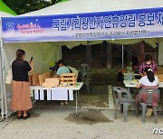 "봄축제도 즐기고 국립자연휴양림 프로그램도 체험하세요"