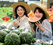 농협유통, 봄 수박 판매 '맛있어서 반할수박에'