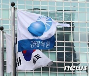 금감원, IFRS17 올해 계도기간 운영…중대·고의 회계분식은 엄정 대응