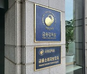 금감원 "보험업권 IFRS17 안정화 위해 공동협의체 운영"