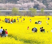 [C컷] 봄의 추억을 “찰칵!“