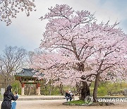 [날씨] 대부분 지역 낮 25도 안팎...일교차 15도 내외로 커