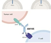 앱클론, 미국암연구학회서 AT501∙AM105 발표 “혁신 항암치료 접근법 제시”