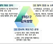 금감원, IFRS17 안정적 정착 위해 공동협의체 운영