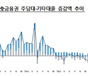 '착시 효과' 銀 가계대출 1년만에 감소..."디딤돌·버팀목 포함해도 안정적"