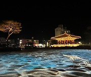 합천군, 일해공원 경관조명 설치…볼거리 쾌적한 환경 조성