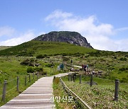 한라산, 오름 탐방 중 산악사고 ‘주의’…5년 새 4배 증가