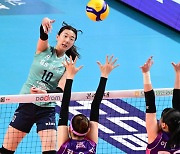 V League free agent market still hot with one week to go