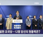 '3당' 조국혁신당, 12석 목표치 달성…분석은? [뉴스와이드]