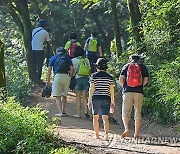 저녁 7시, 산책로서 흉기 휘두른 20대男…잡힌 후 한다는 말이