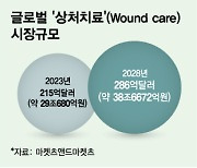 상처 말끔하게…'39조 치료시장' 북적북적