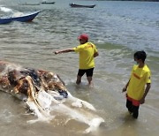 "고래야, 인어야?"…해변에 떠내려온 정체불명 거대 사체