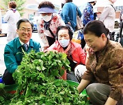 영양군,  5월 산나물축제 앞두고 '산나물' 정보 제공