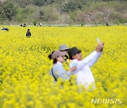 제주, 대체로 흐림…해안가 너울성 파도 유의