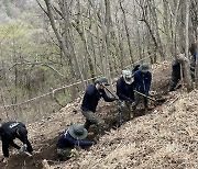 "한 분이라도 가족 품으로"…35사단, 6·25 전사자 유해 발굴 작업