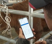 스마트폰으로 경매 참여