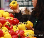 고물가에 집밥 선호