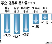 퍼렇게 질린 밸류업…금융주, 내리막길 걷나