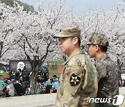 '미군 부대에도 찾아온 봄'