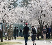 '미군 부대에도 찾아온 봄'