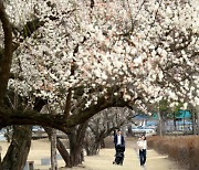 이번 주말 초여름 더위…충청선 28도까지 올라