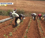 베트남 TV까지 나온 한국 '계절노동' 사기‥단체 소송으로 번져