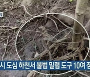 제주시 도심 하천서 불법 밀렵 도구 10여 점 발견