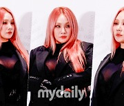 CL, 블랙+망사 파격으로 물들인 포토타임…’하트도 남다르게’ [MD동영상]