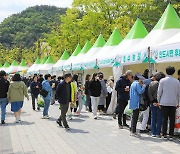 ‘제14회 양평 용문산 산나물축제’ 4월 26~28일 용문산 관광단지에서