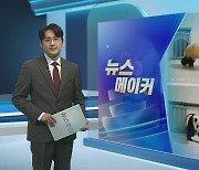 [뉴스메이커] 강철원 "푸바오 걱정 마세요"…中사육사 손잡고 당근 '먹방'도