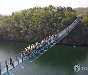 진천 '초평호 미르309' 출렁다리 개통