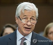 JP모건 1분기 이익 늘었는데…순이자이익 부진 전망에 주가 급락