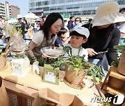 '재활용 쓰레기 반납하면 화분을 드려요'