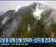 삼척·고성 등 강원 산불 잇따라…산지 등 건조특보