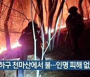 사하구 천마산에서 불…인명 피해 없어