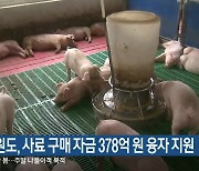 강원도, 사료 구매 자금 378억 원 융자 지원