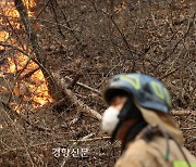 여름인가 싶은 더위에···전국 곳곳 산불