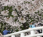 경기남부 쾌청한 날씨…낮 25도 내외 '포근'