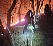 부산 사하구 산불…45분 만에 진화