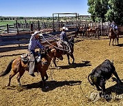 Ranching Standoff 10 Years Later