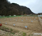 대구 수성구, 팔현 공영도시농업농장 분양…22일까지 신청