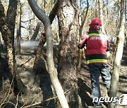 진천 야산서 불…인근 쓰레기 소각 원인