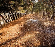 농민을 분노하게 한 조병갑, 공주 山中에 잠들어 있다 [박종인의 땅의 歷史]